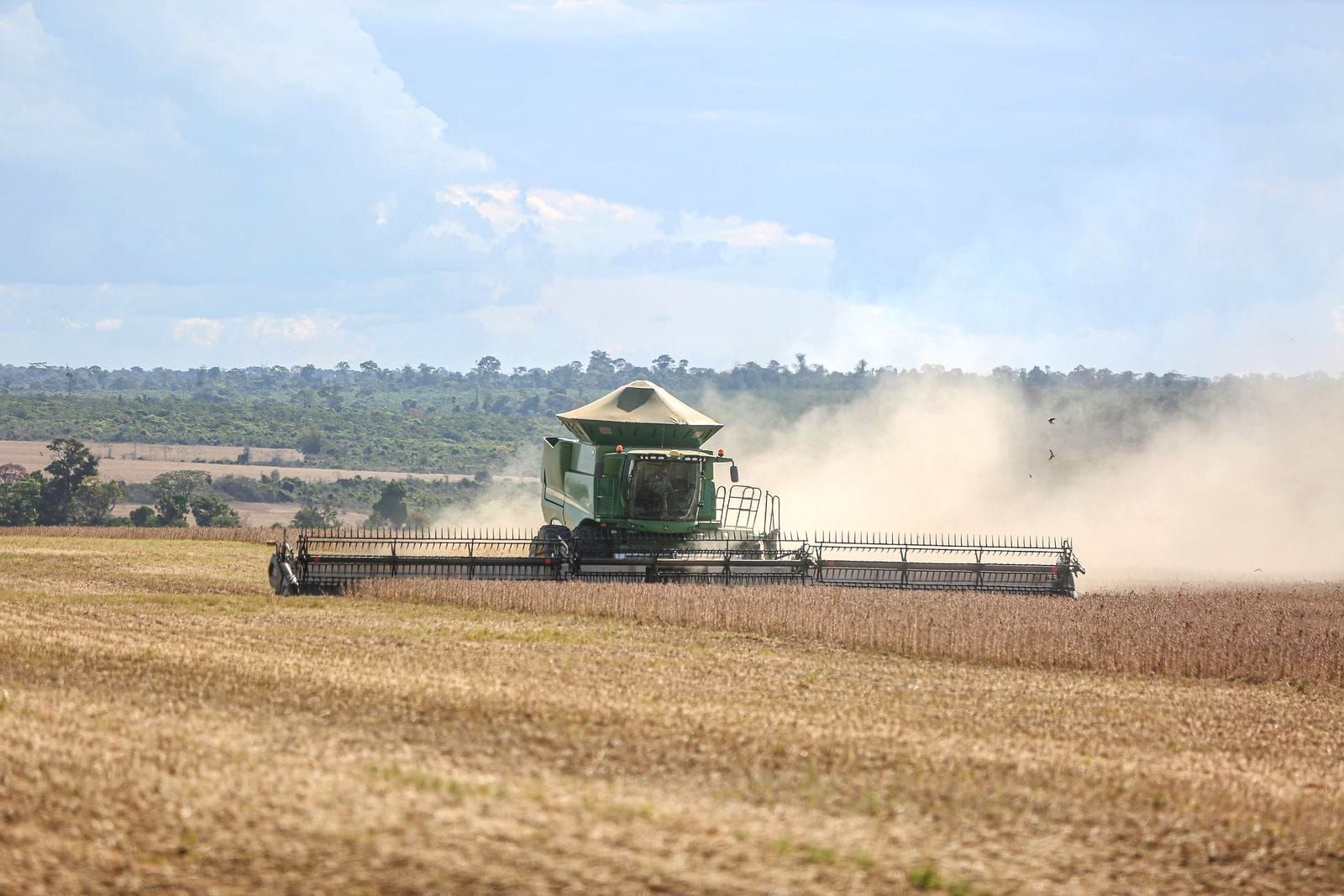 A combine harvester cutting a soybean field in Paragominas, Pará, Brazil, with a dust cloud behind it and tree cover on the horizon