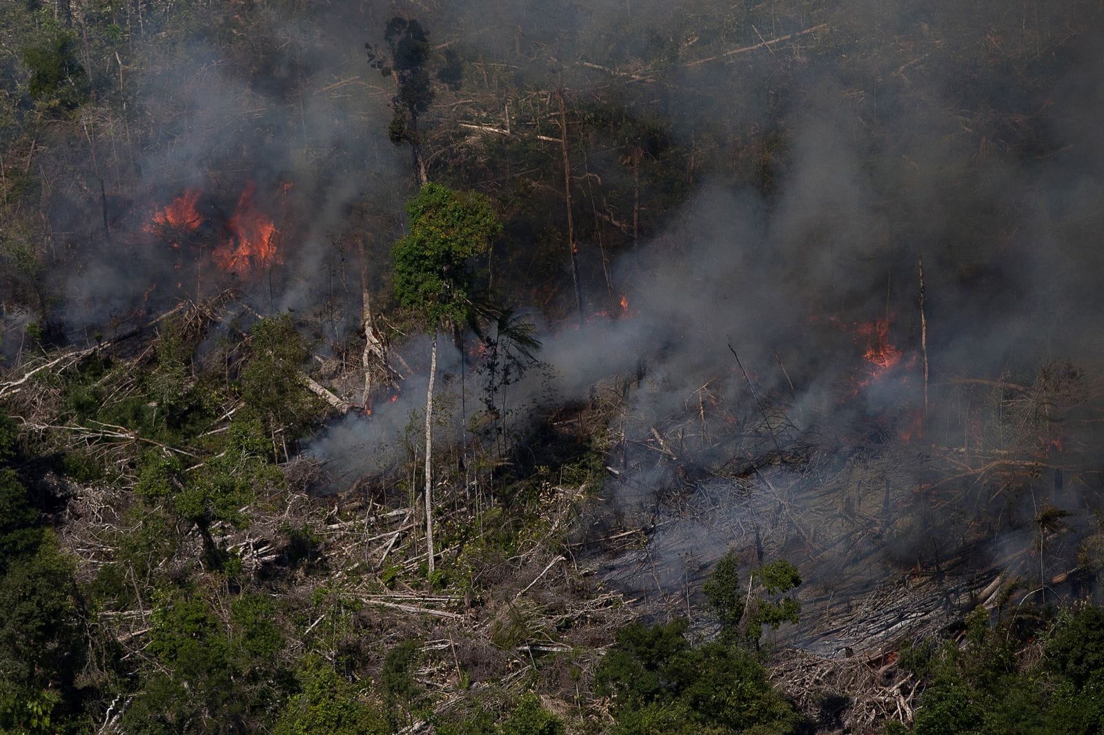Aerial view of smoke and flames rising from felled, burning forest near the Jacundá National Forest in Rondônia, Brazil