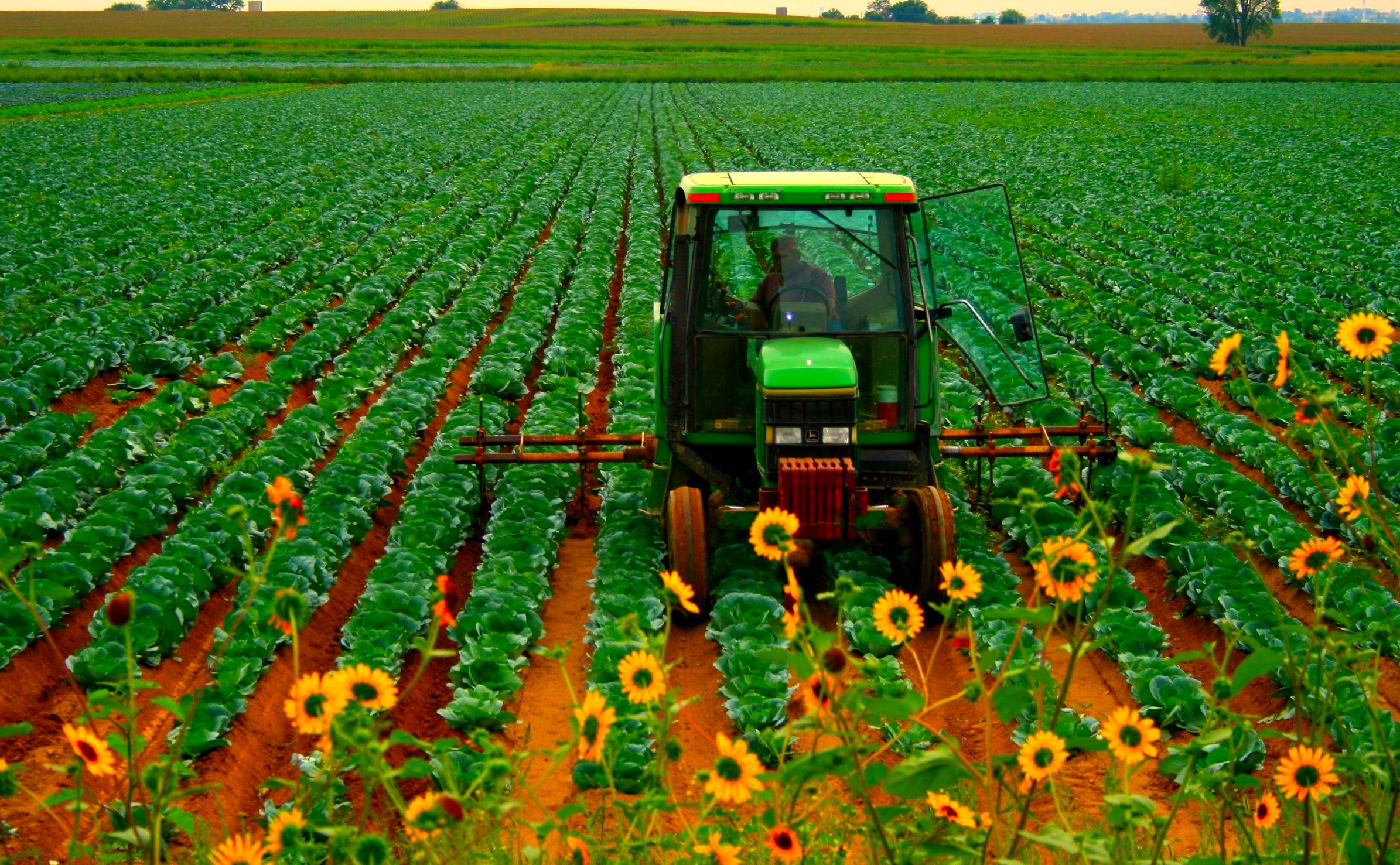 John Deere tractor in a farm field with green and yellow livery
