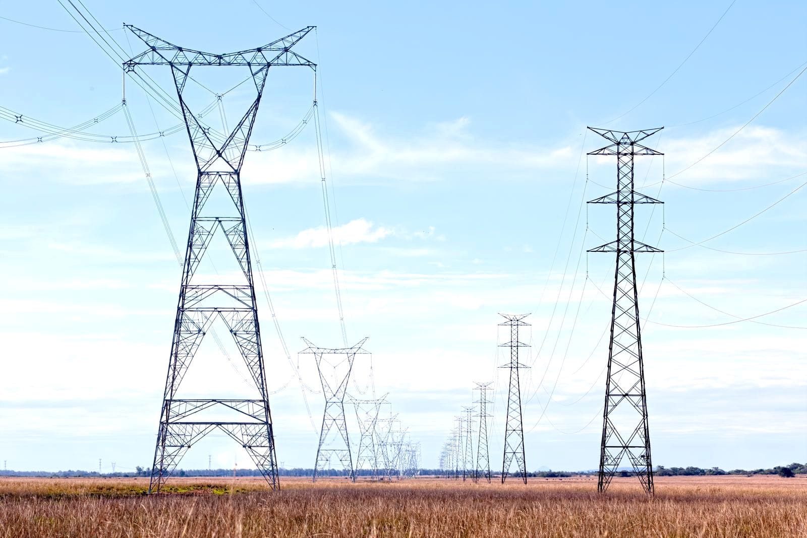 Two large steel lattice transmission towers in the foreground with a long line of smaller towers stretching across a flat grassy plain under a pale blue sky