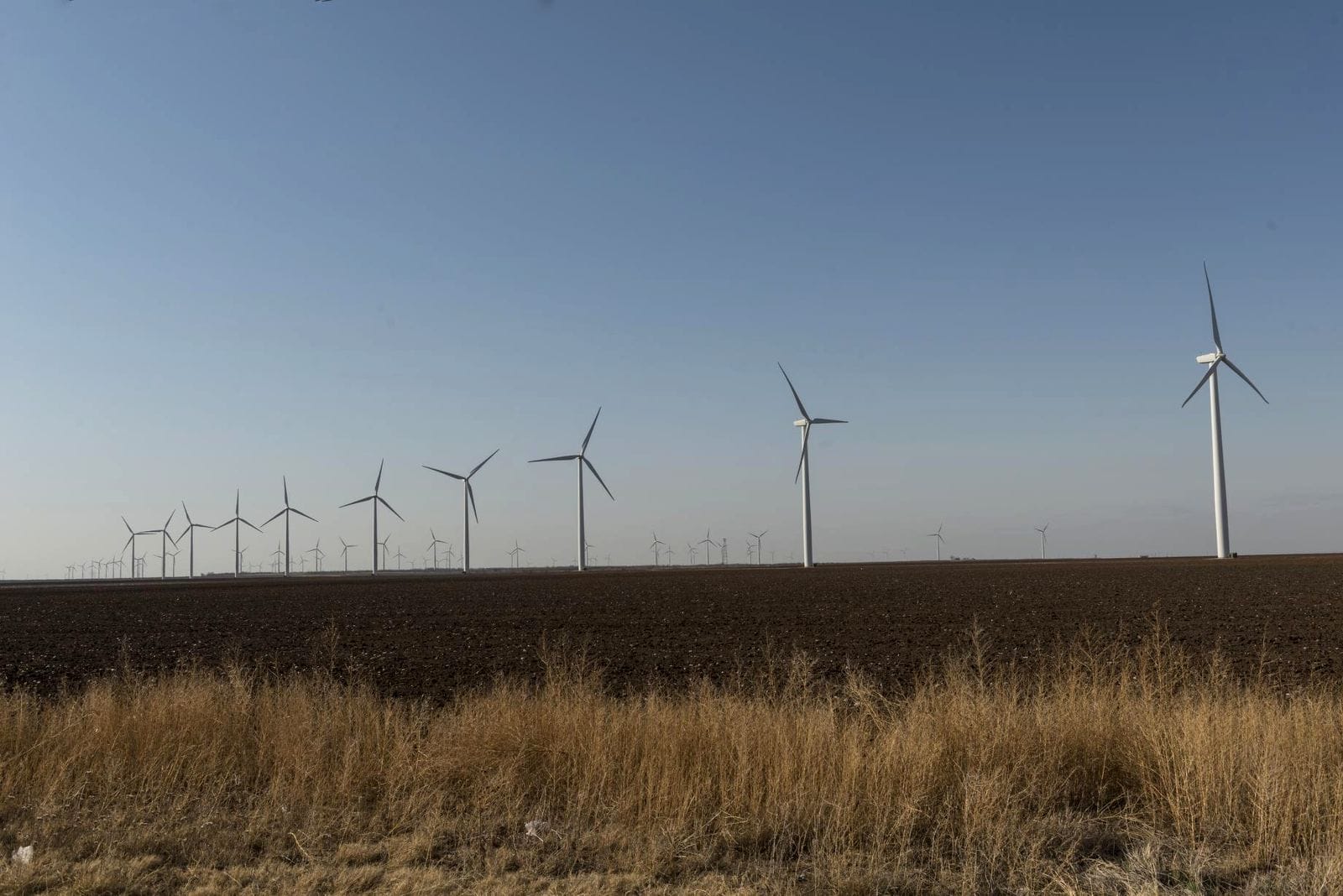Rows of white wind turbines receding to the horizon across flat plowed farmland, with dry grass in the foreground