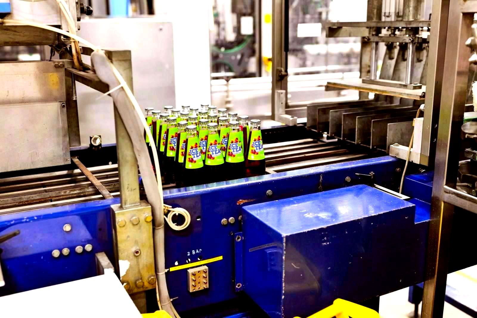 Glass bottles moving along an automated factory production line