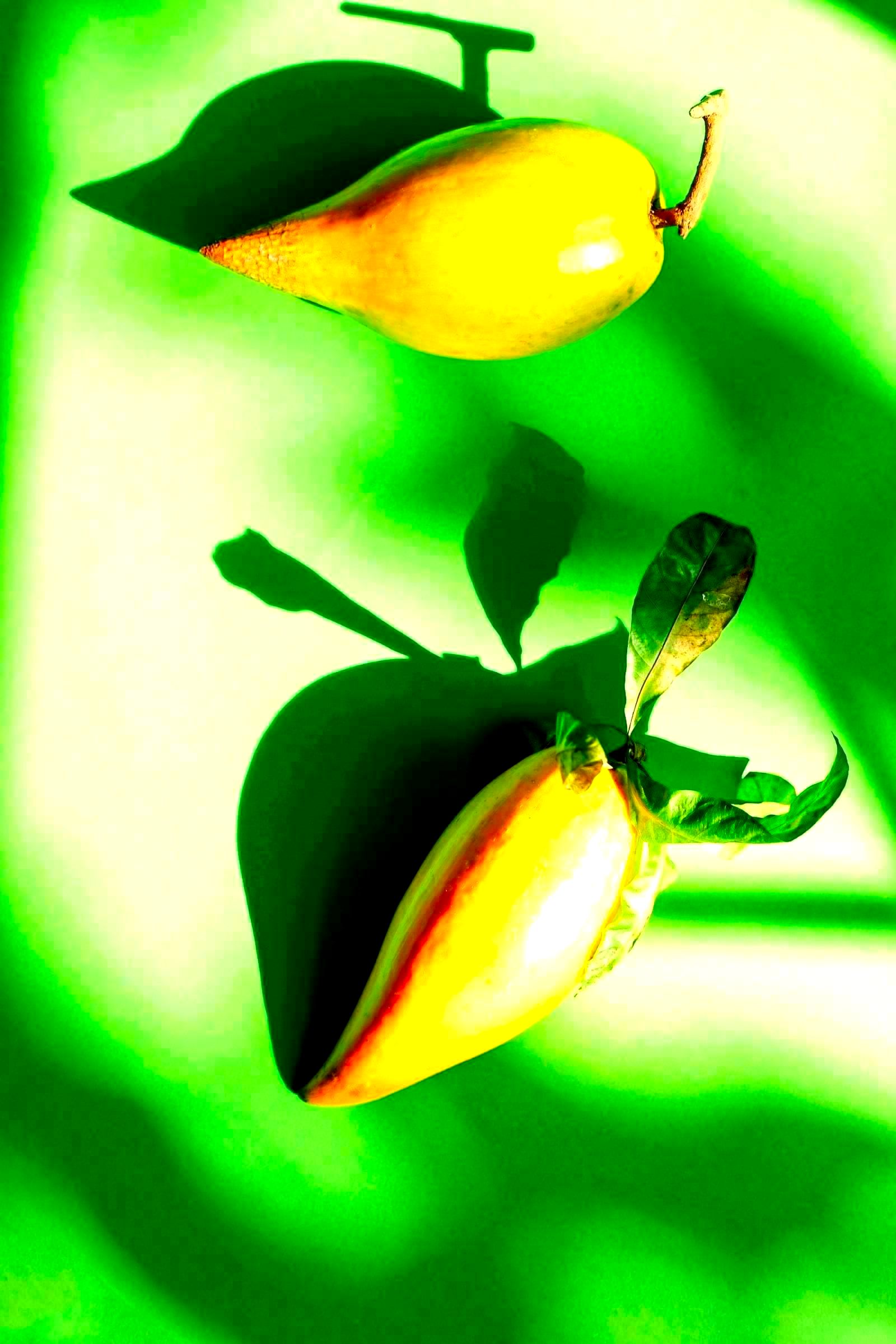 Consumer packaged goods products arranged on a manufacturing conveyor